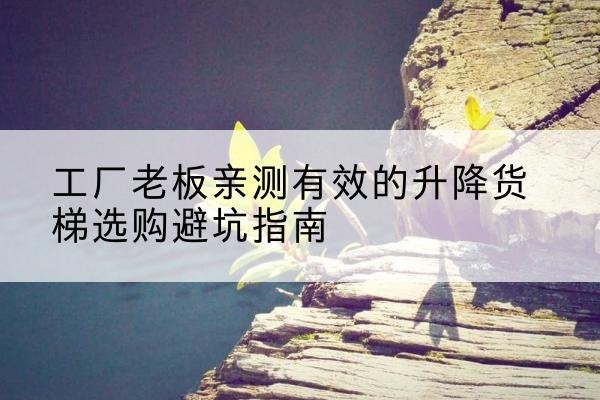 颍泉升降货梯怎么选-工厂老板亲测有效的升降货梯选购避坑指南