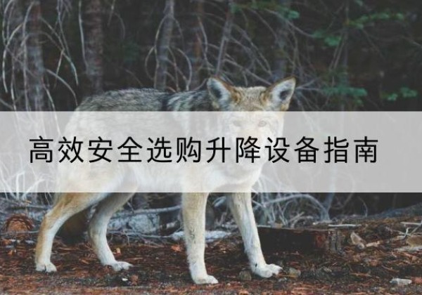 颍泉升降货梯厂家推荐-*安全选购升降设备指南