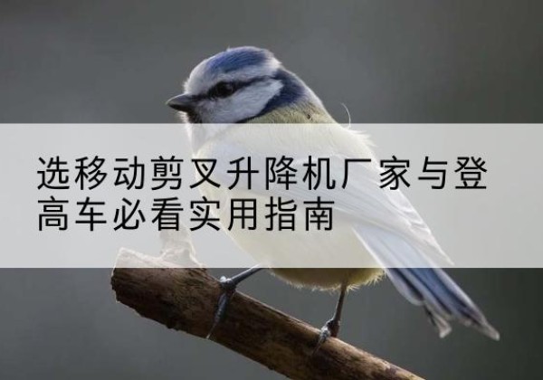 颍泉电动升降机厂家-选移动剪叉升降机厂家与登高车必看实用指南