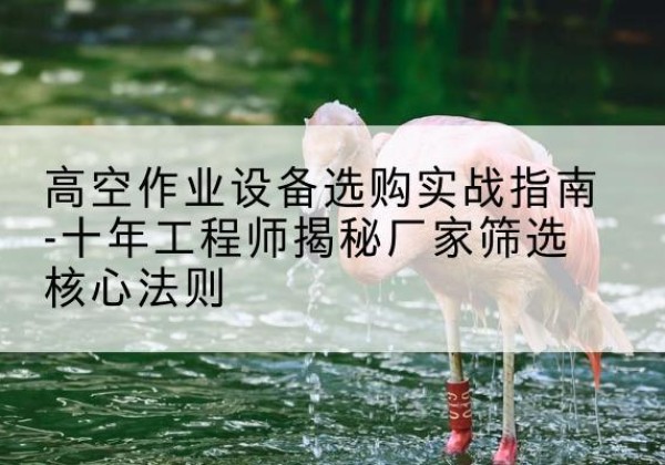 颍泉剪叉式升降机厂家-高空作业设备选购实战指南-十年工程师揭秘厂家筛选核心法则