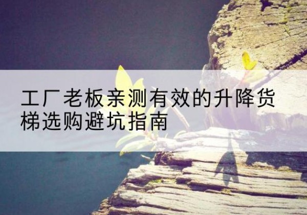 颍泉升降货梯怎么选-工厂老板亲测有效的升降货梯选购避坑指南